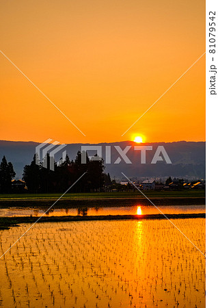 初夏の田園風景（夕暮れ） 81079542