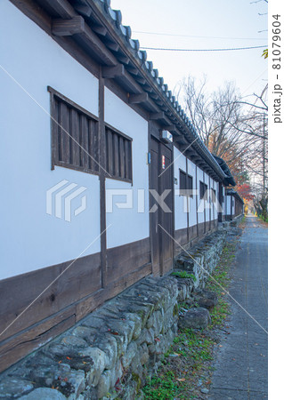 長瀞町 桜通りの風景 長瀞町 桜通りの風景 81079604