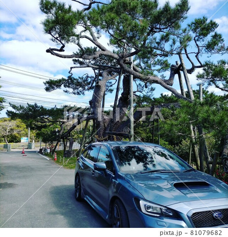 休日ドライブ 休日ドライブ 81079682