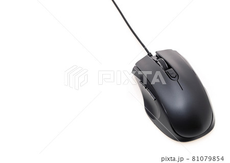 マウス 81079854