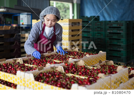 Woman in cherry warehouse 81080470