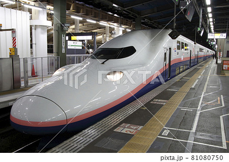 引退間際の上越新幹線E4系Maxとき号(新潟駅) 引退間際の上越新幹線E4系Maxとき号(新潟駅) 81080750