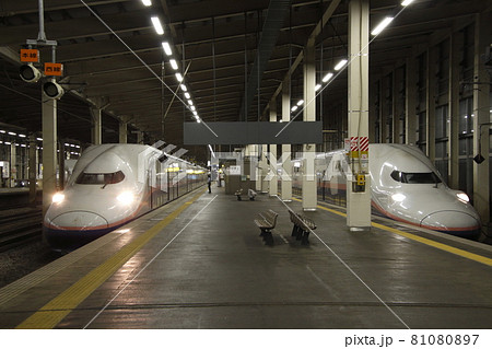 越後湯沢駅で並ぶ巨大な壁：引退間際の上越新幹線E4系：Maxとき／Maxたにがわ 81080897