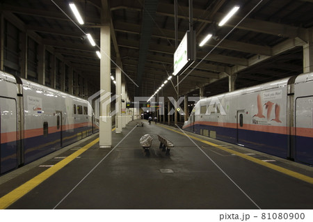 越後湯沢駅で並ぶ巨大な壁：引退間際の上越新幹線E4系：Maxとき／Maxたにがわ 81080900