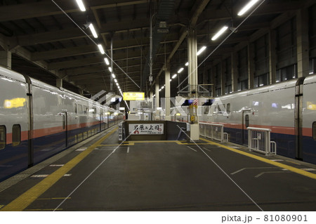 越後湯沢駅で並ぶ巨大な壁:引退間際の上越新幹線E4系:Maxとき/Maxたにがわ 越後湯沢駅で並ぶ巨大な壁:引退間際の上越新幹線E4系:Maxとき/Maxたにがわ 81080901