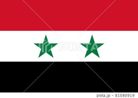 National Flag of Syria original size and colors vector illustration, government of the Syrian Arab Republic flag United Arab Republic, flag Syrian Arab Republic 81080919