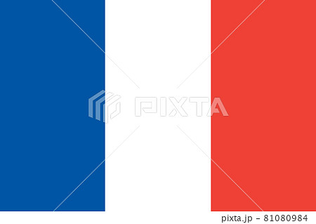 National flag of France original size and colors vector illustration, drapeau francais tricolour or French Tricolour, ancient French colour or cockade of France, flag French Republic 81080984