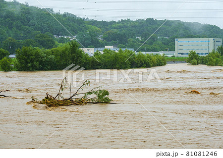 大雨で増水した川 大雨で増水した川 81081246