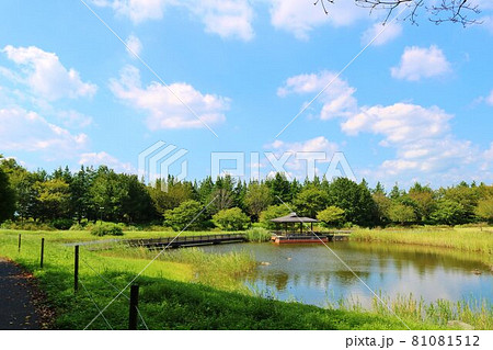 穏やかな寛ぎの空間　風景 81081512