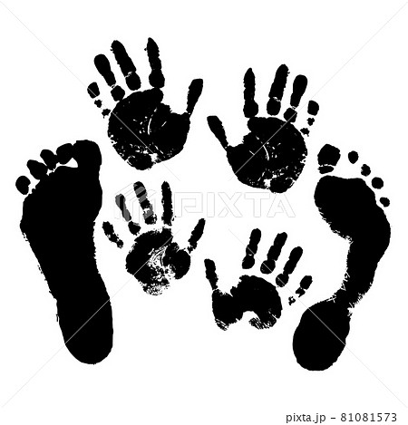 Hand and footprints of adults and children on a white isolated background. Vector. 81081573