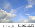 雨上がりの虹1 81081883