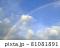 雨上がりの虹2 81081891