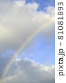雨上がりの虹6 81081893