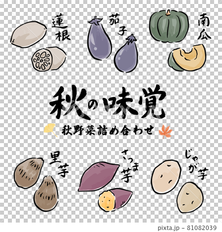 秋の味覚 旬の野菜の和風手描きベクターイラスト 筆文字セットのイラスト素材