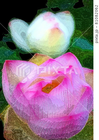 ハスの花香る癒しの窓辺 ハスの花香る癒しの窓辺 81082062