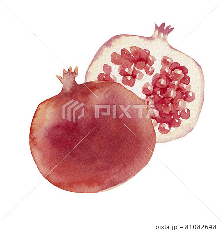 ざくろ 秋 果物 フルーツ 水彩 イラストのイラスト素材