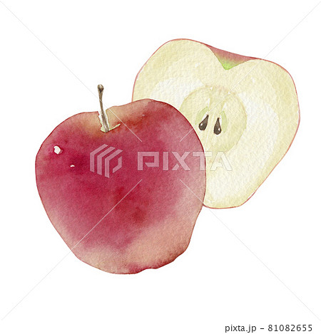 リンゴ 秋 果物 フルーツ 水彩 イラストのイラスト素材