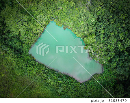 Aerial view river forest nature woodland area green tree, Top view river lagoon pond with blue water from above, Bird eye view green forest beautiful fresh environment landscape jungles lake 81083479