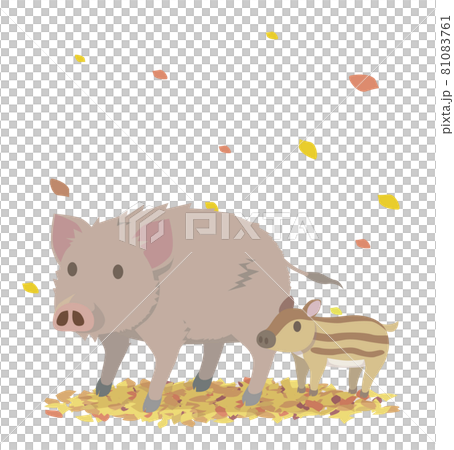 Wild boar parent and child in the autumn field 81083761
