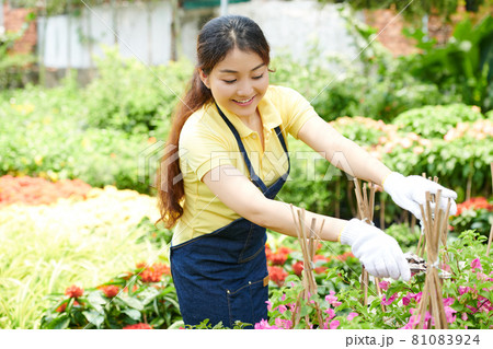 Young Woman Cutting Flowers 81083924