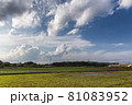 日本の田園風景 81083952