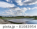 日本の田園風景 81083954