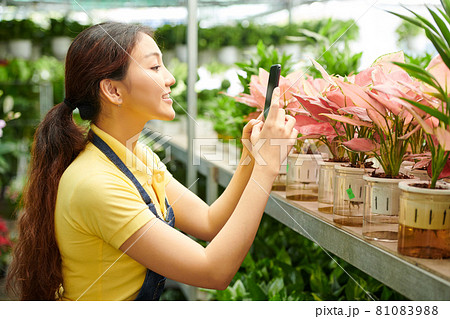 Flower Nursery Manager Taking Photos Flower Nursery Manager Taking Photos 81083988