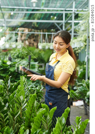 Manager Collecting Plant Order 81084015