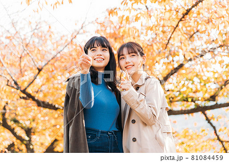 紅葉の季節に旅行をする女性二人 紅葉の季節に旅行をする女性二人 81084459