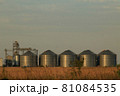 Modern agricultural grain elevator with blue sky on the background and roan on foreground. 81084535