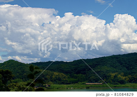 夏です 夏です 81084829