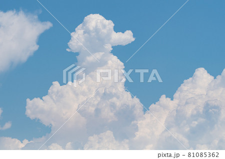 夏の積乱雲 夏の積乱雲 81085362