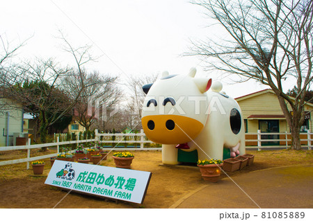 成田ゆめ牧場の入り口にある看板牛 成田ゆめ牧場の入り口にある看板牛 81085889