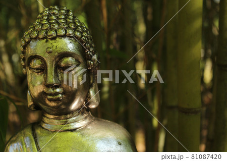 Buddha Statue in bamboo forest park Buddha Statue in bamboo forest park 81087420