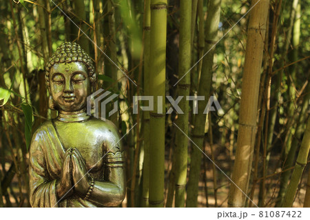 Buddha Statue in bamboo forest park 81087422