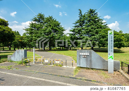 東京都江戸川区の篠崎公園と江戸川緑地一帯 81087765