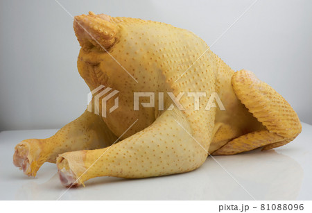 Fresh raw whole chicken meat carcass free range pasture raised. outdoor life 81088096