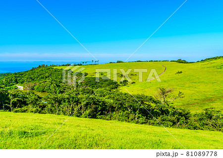 山頭草原 【長崎県平戸市生月町】 山頭草原 【長崎県平戸市生月町】 81089778
