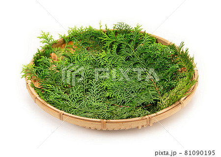 料理、食物等の背景用のザルとヒノキの葉 81090195