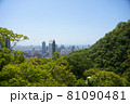 神戸　港町　高層ビル　緑と都市 81090481