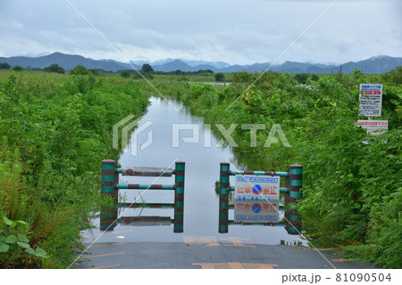 長雨で増水した渡良瀬遊水地 長雨で増水した渡良瀬遊水地 81090504