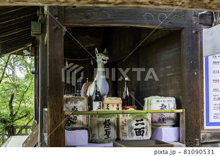 吉備津神社 神馬 岡山県岡山市 吉備津神社 神馬 岡山県岡山市 81090531