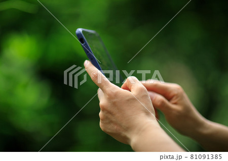 Hands using mobile phone taking picture in summer nature 81091385