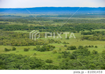 北海道の夏 釧路湿原の風景 北海道の夏 釧路湿原の風景 81091459
