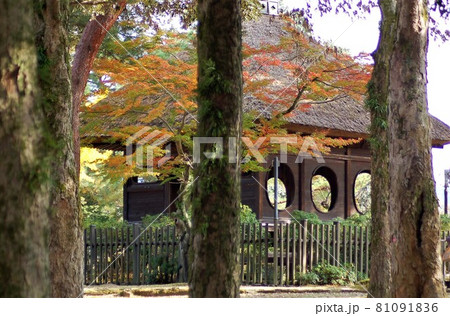 奈良公園の円窓亭の紅葉 奈良公園の円窓亭の紅葉 81091836