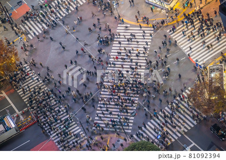 Shibuya Crossing from top view at night in Tokyo 81092394
