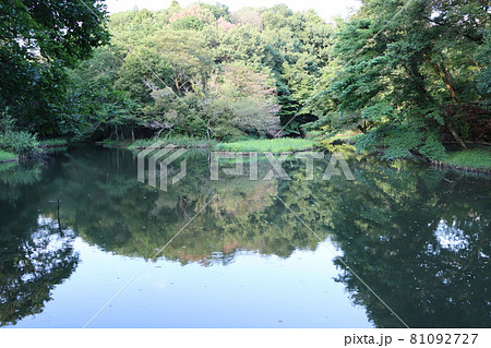 座間谷戸山公園にある水鳥の池 81092727