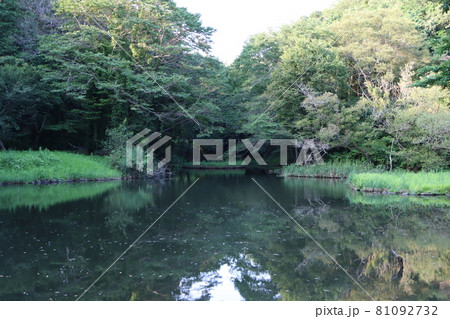 座間谷戸山公園にある水鳥の池 81092732