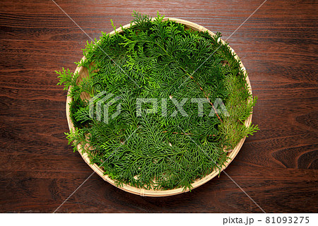料理、食物等の背景用のザルとヒノキの葉 81093275