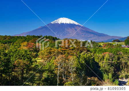秋の富士山 静岡県駿東郡小山町竹之下にて 秋の富士山 静岡県駿東郡小山町竹之下にて 81093305